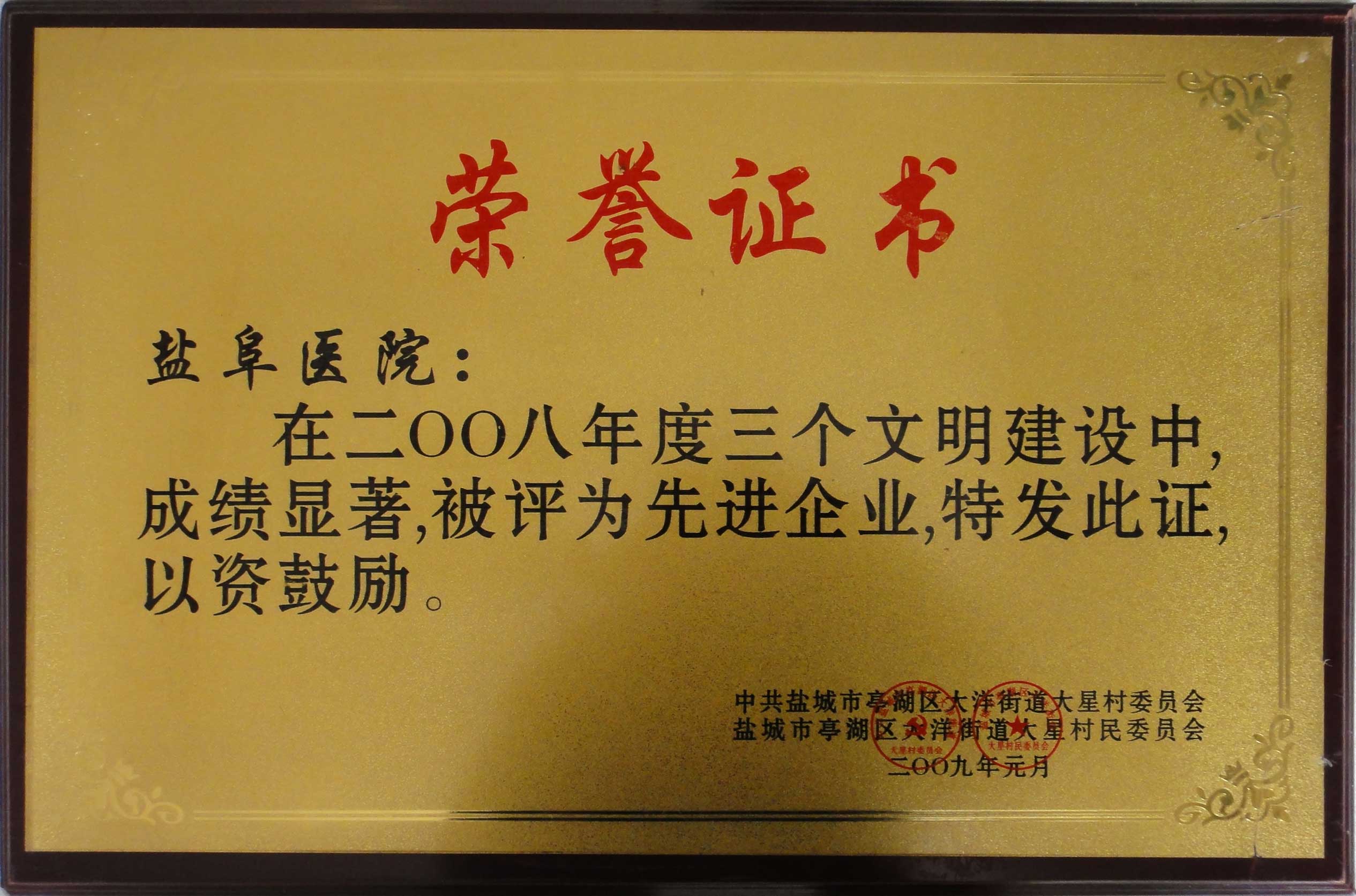 2008年度先進企業(yè)