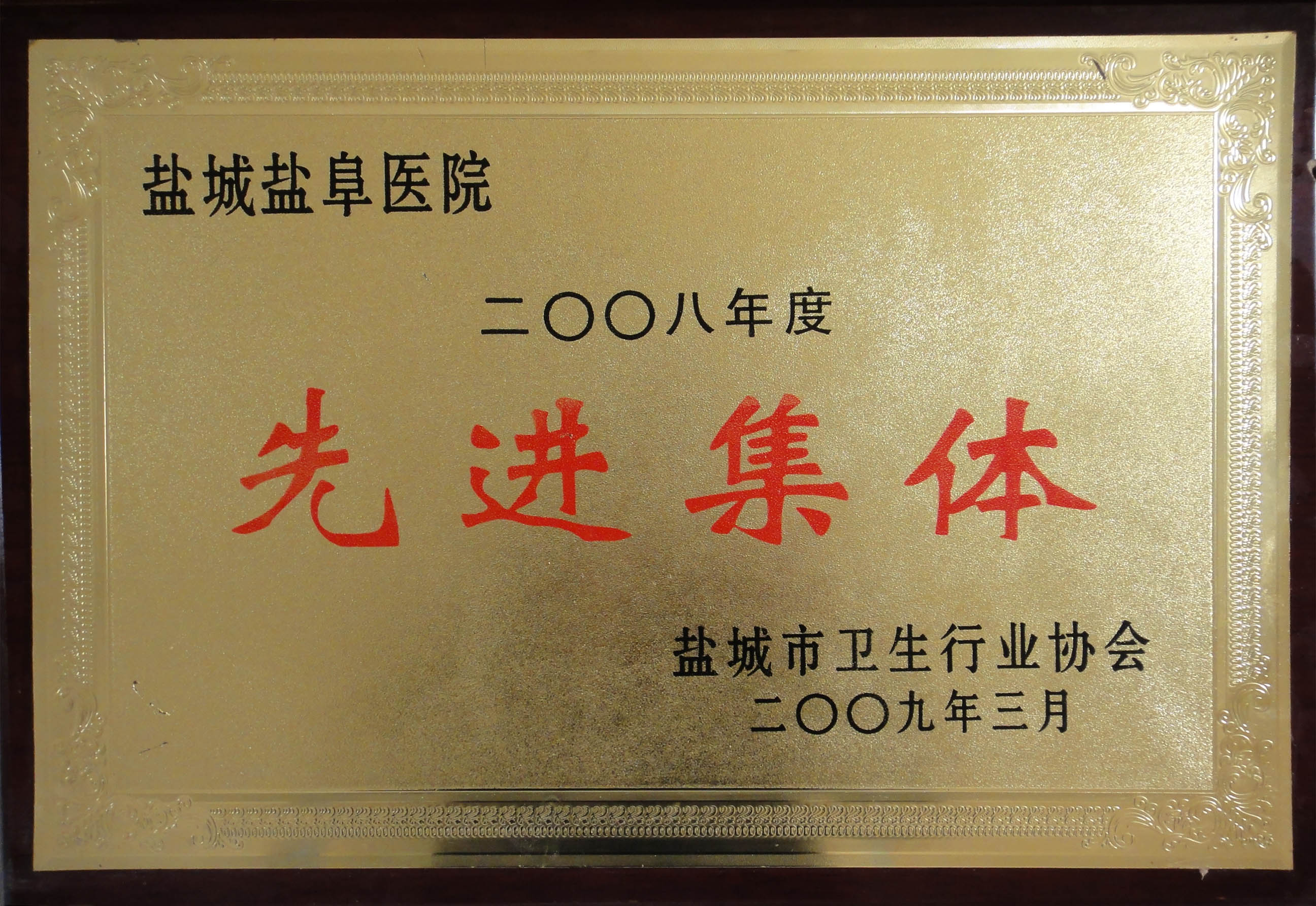 2008年度鹽城市衛(wèi)生行業(yè)先進集體